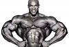Click image for larger version. 

Name:	Ronnie-Coleman.jpg 
Views:	95 
Size:	18.2 KB 
ID:	177594