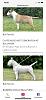 Click image for larger version. 

Name:	47FB0F40-9021-481A-B672-649E7F0ADA88.jpg 
Views:	77 
Size:	208.4 KB 
ID:	179544