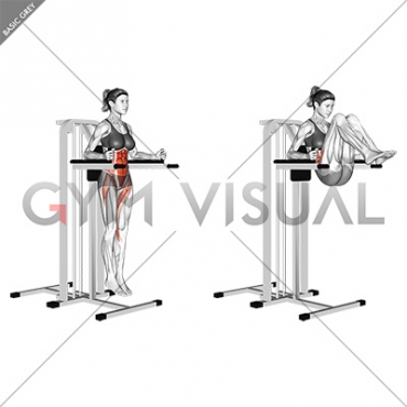 Click image for larger version. 

Name:	vertical-leg-raise-on-parallel-bars-female.jpg 
Views:	58 
Size:	51.8 KB 
ID:	179552