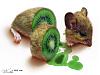 Click image for larger version. 

Name:	Kiwi Mouse.JPG 
Views:	138 
Size:	70.3 KB 
ID:	76351