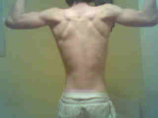 Click image for larger version. 

Name:	back muscle.jpg 
Views:	449 
Size:	4.0 KB 
ID:	87768