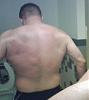 Click image for larger version. 

Name:	back2.jpg 
Views:	150 
Size:	33.0 KB 
ID:	93484