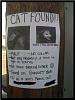 Weird Shit!  (Anything goes)-cat-found.jpg