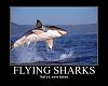 Shark week on Discovery-flying-sharks-motivational-posters.jpg