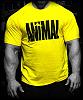 Animal Pak Shirts-animal.jpg