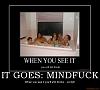 Do you see whats wrong with this photo?-goes-mindfuck-mindfuck-demotivational-poster-1210968045.jpg