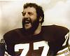 Did Lyle Alzado Die Of Aids And Did He Use Steroid Abuse As A Way To Cover It All Up?-67-t618790-500.jpg