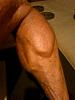 **Marcus's HIT Dungeon**-calves-08212013.jpg