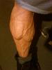 **Marcus's HIT Dungeon**-calves-10072015.jpg