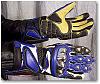 Sportbike gloves...-blue.jpg