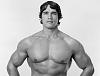 Late 80s early 90s bodybuilders are small-arnie-2__square.jpg