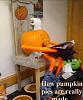 Pumpkin time-bd0919b0-57af-4ec4-a155-08598b1d6bd7.jpeg