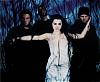 Evanescence is on Hard Rock Live....-trees2.jpg