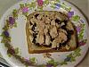 Tuna mixed with peanutbutter and jelly-tuna.jpg