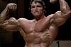 A few screen captures from Pumping Iron-vimage036.jpg