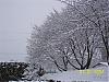 Crazy Snow in SW Washington-arsnow3.jpg