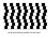Find the black dot-pic11138.jpg