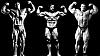 over rated arnold-arnold-casey-dorian.jpg