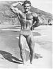 If you could look like any bodybuilder...-stevereeves.jpg