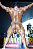 If you could look like any bodybuilder...-rear.jpg