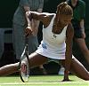 Serena Williams (the transsexual) lost at Wimbleton!-pictures.jpg