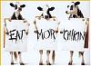 Post funniest pictures you have!-eat-more-chikin.jpg