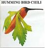 Girlie Men-hummingbird-chili.jpg