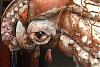 PICTURES - Deep Sea Creatures-giantsquid04.jpg