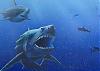 PICTURES - Deep Sea Creatures-megalodon234.jpg