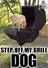 Funny Images thread-grill-dog.gif