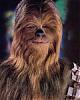 Paris why did you claim to be the girl in ur avatar?-chewbacca33.jpg