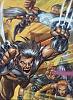 Calling All Comic Book Dorks!!!!!!!!!!!-wolverine175.jpg