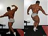 Battle for the Mr O, Training Video clips check it out.......!!-1256_16_1.jpg