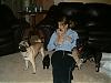 Michigan Pug stud available in Michigan-pug-puppies-litter-one-043.jpg