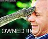 ARs' own &quot;OWNED&quot; and FUNNY pics Thread-snakeowned.jpg