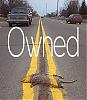 ARs' own &quot;OWNED&quot; and FUNNY pics Thread-roadkill.jpg