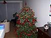 *Post A Picture Of Your Christmas Tree.*-kerstboom-005.jpg