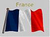 WorlCup WHICH TEAM ARE YOU WITH?-france.gif