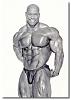 Your ideal(achivable) body?-shawn-ray.jpg