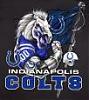 Colts &quot;WIN&quot; Superbowl !!!!!-colts1.jpg