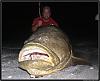 Big Bass-july7thjewfish033e.jpg