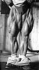 Legs?-tom_platz_007.jpg