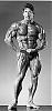 Perfect Physique-zf51.jpg