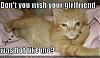 Do i have the right to be mad?-funny-pictures-hot-cat-girlfriend.jpg