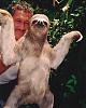 Internet Sloths--Post here!-sloth-3.jpg