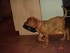 pics of your pet-dsc01644.jpg