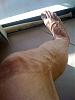 My veins are gross.-img_0159.jpg