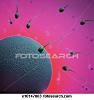 Unstoppable Sperm-sperm-fertilizing-ovum_%7Ex10147863.jpg