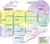 Whats the best overall steroid?!?!-steroidogenesis.jpg