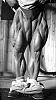 You'll want to read this!-tom_platz_legsfront.jpg